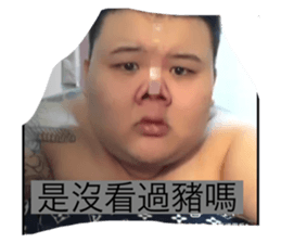 475835095