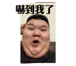475835096