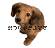 475856374