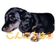 475856378