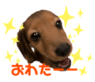 475856380