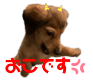 475856385