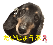 475856389