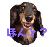 475856390