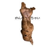 475856398