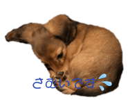 475856402