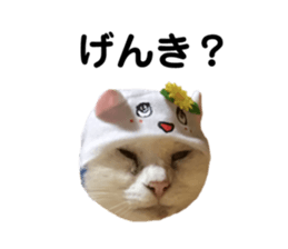 475865764