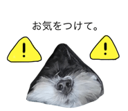 475866741