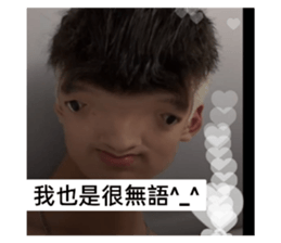 475888411