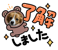 475889364