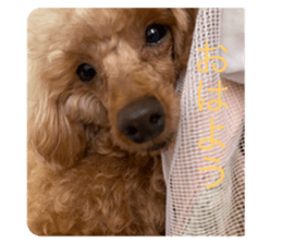 475916714