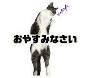 475949882