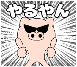 47595419