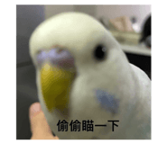 476163545