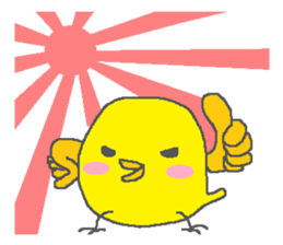 4762531