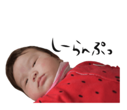 47633544