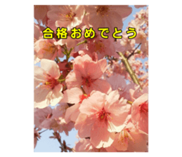 476352119