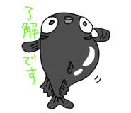 476374505