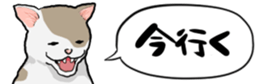 476380850