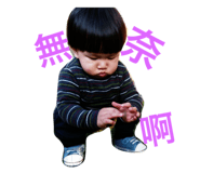 47639702