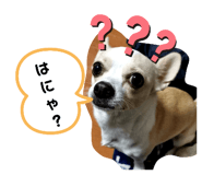 476403620
