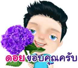 47641378
