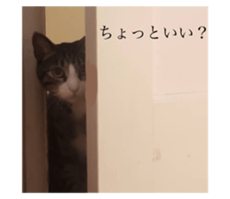 476423171