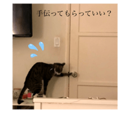 476423188