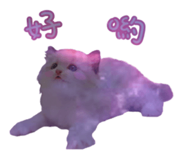 47649405