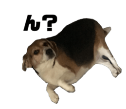 476522560