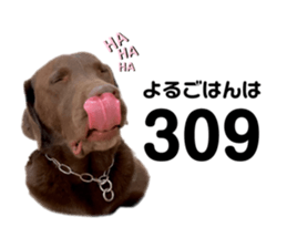 476565075