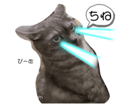 476673184
