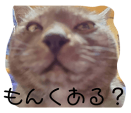 476673186