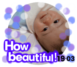 476680114