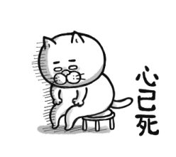 476704981