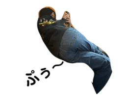 476709231