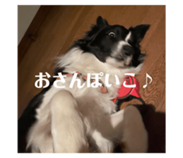 476727063
