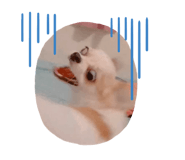 476728147