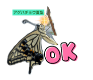 476773009