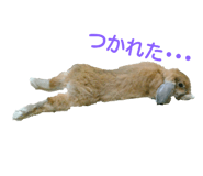 47678878
