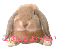 47678885