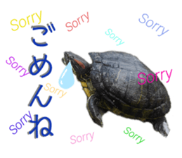 476903600