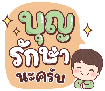 ลายที่ 13