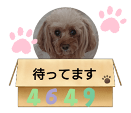 476939868