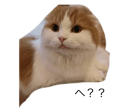 476940898