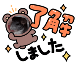 476942300