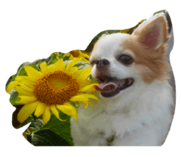 476976978