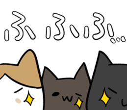 477069916
