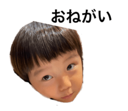 477081045