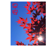 47716395